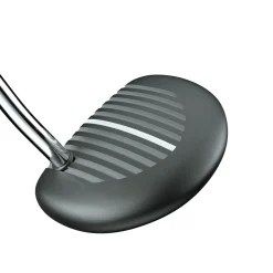 Alt1