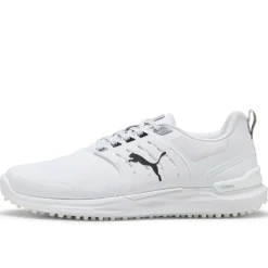 Ignite Elevate 2