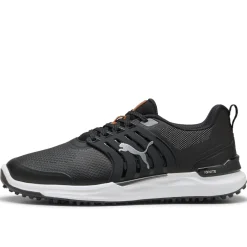 Ignite Elevate 2
