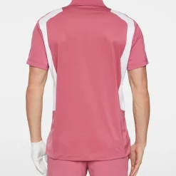 Legacy Polo