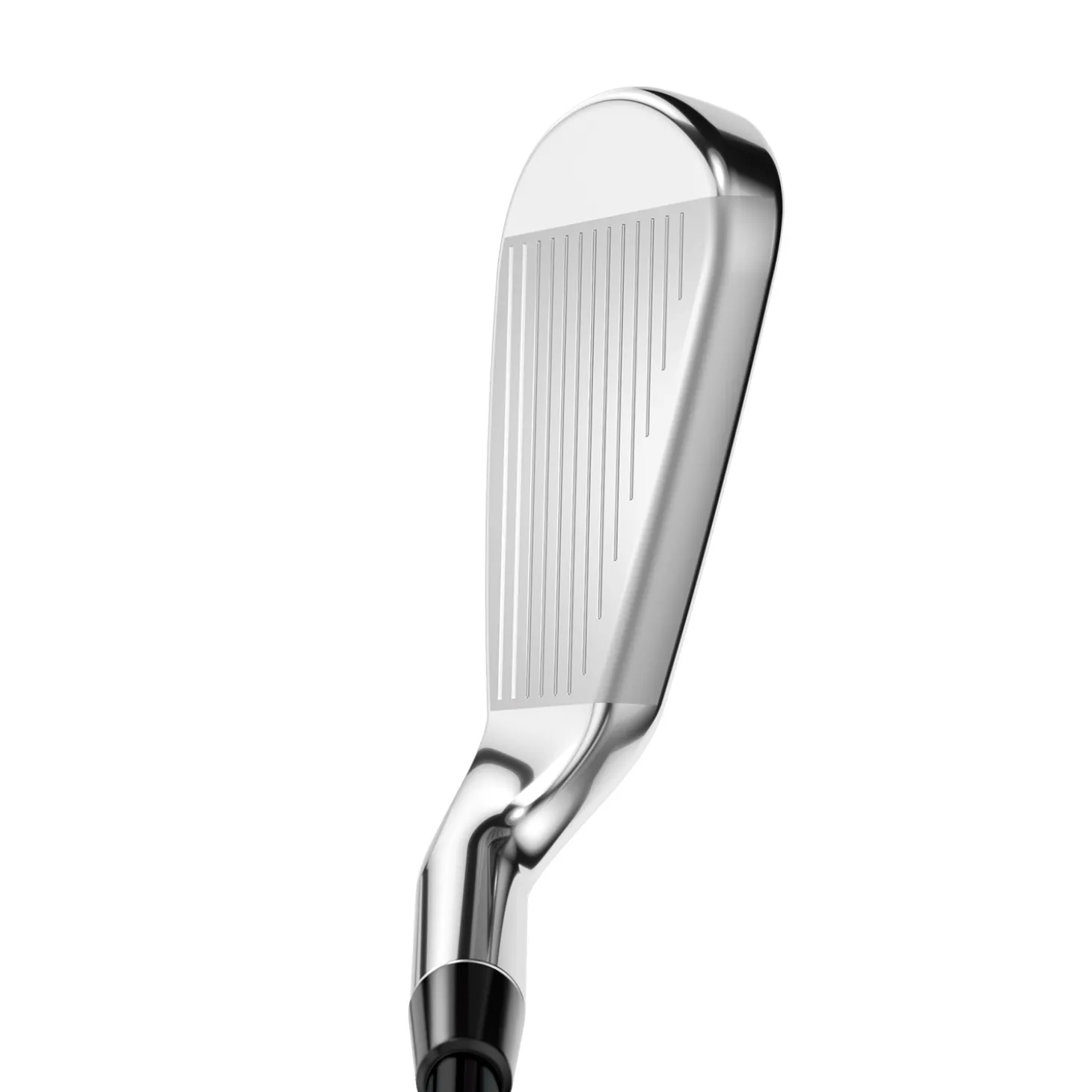 Rogue St Max Os Lite 24 Lady - Grafiitti