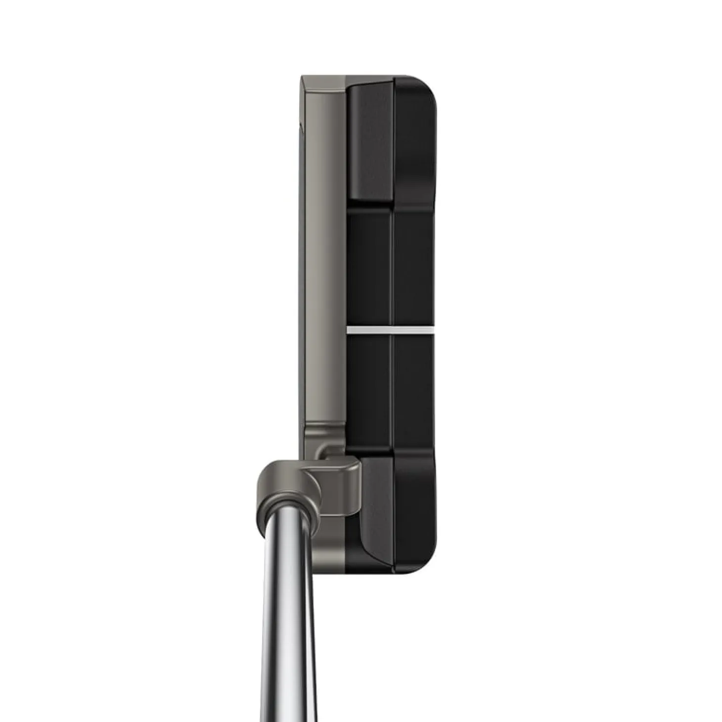 Scottsdale Anser