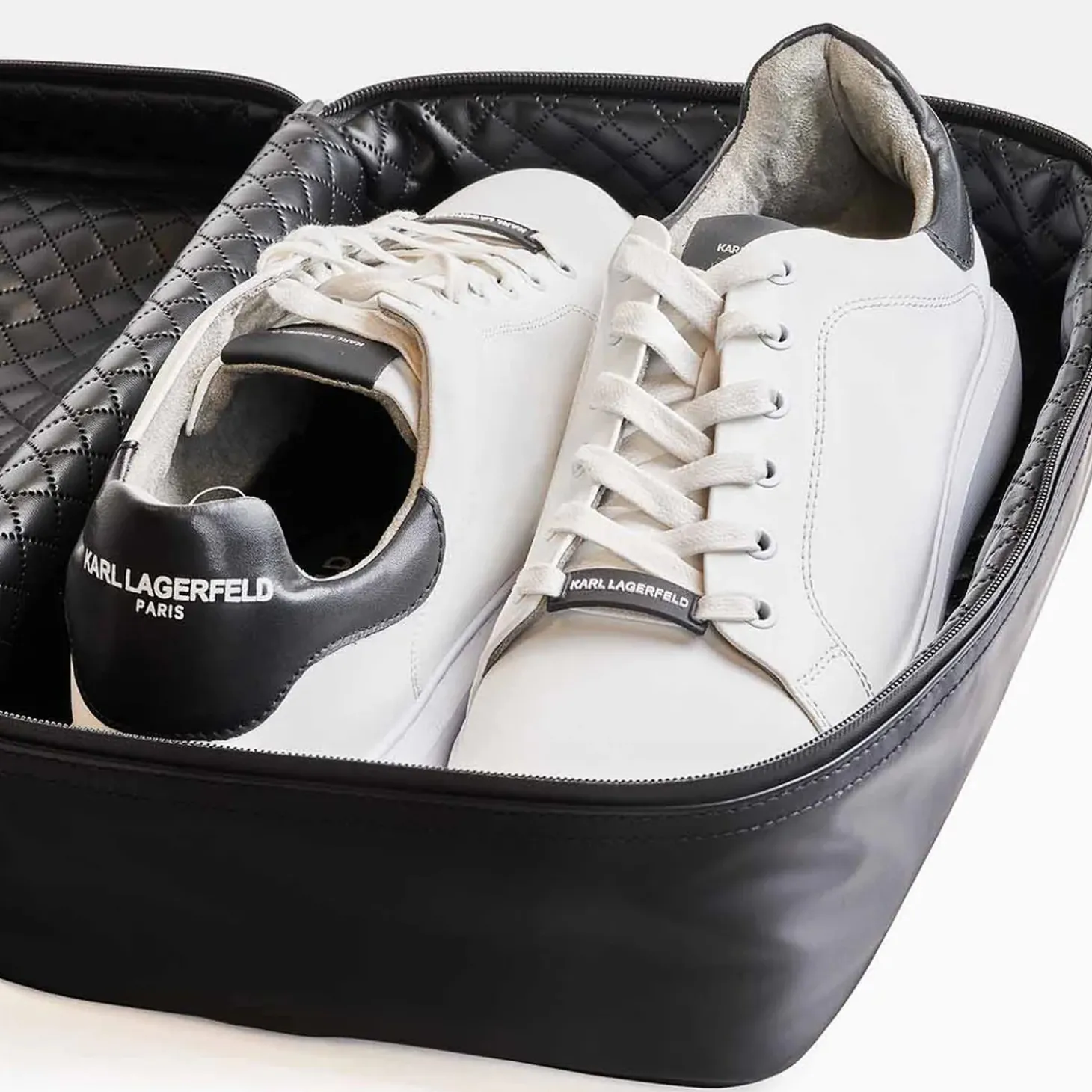 Shoe Bag