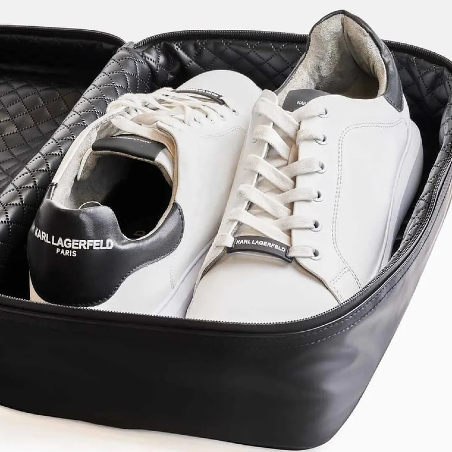 Shoe Bag