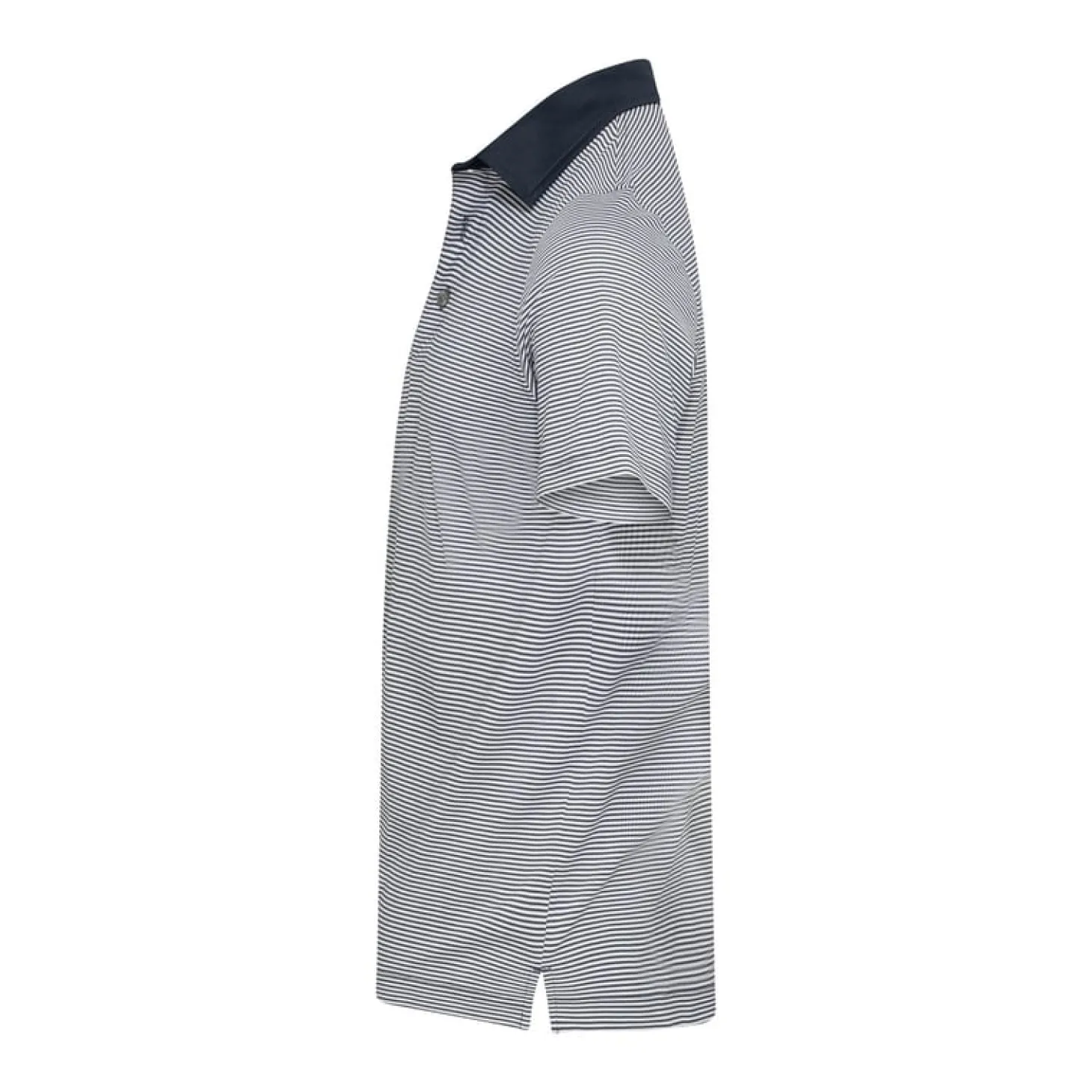Virtue Polo Stripes Sininen