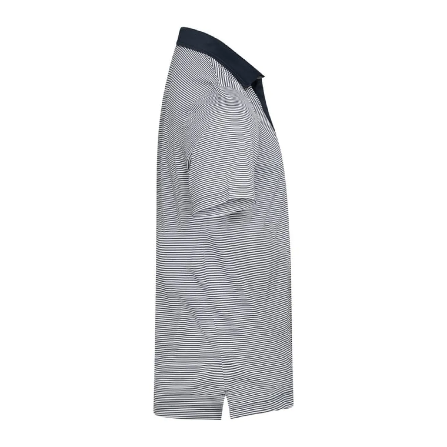 Virtue Polo Stripes Sininen