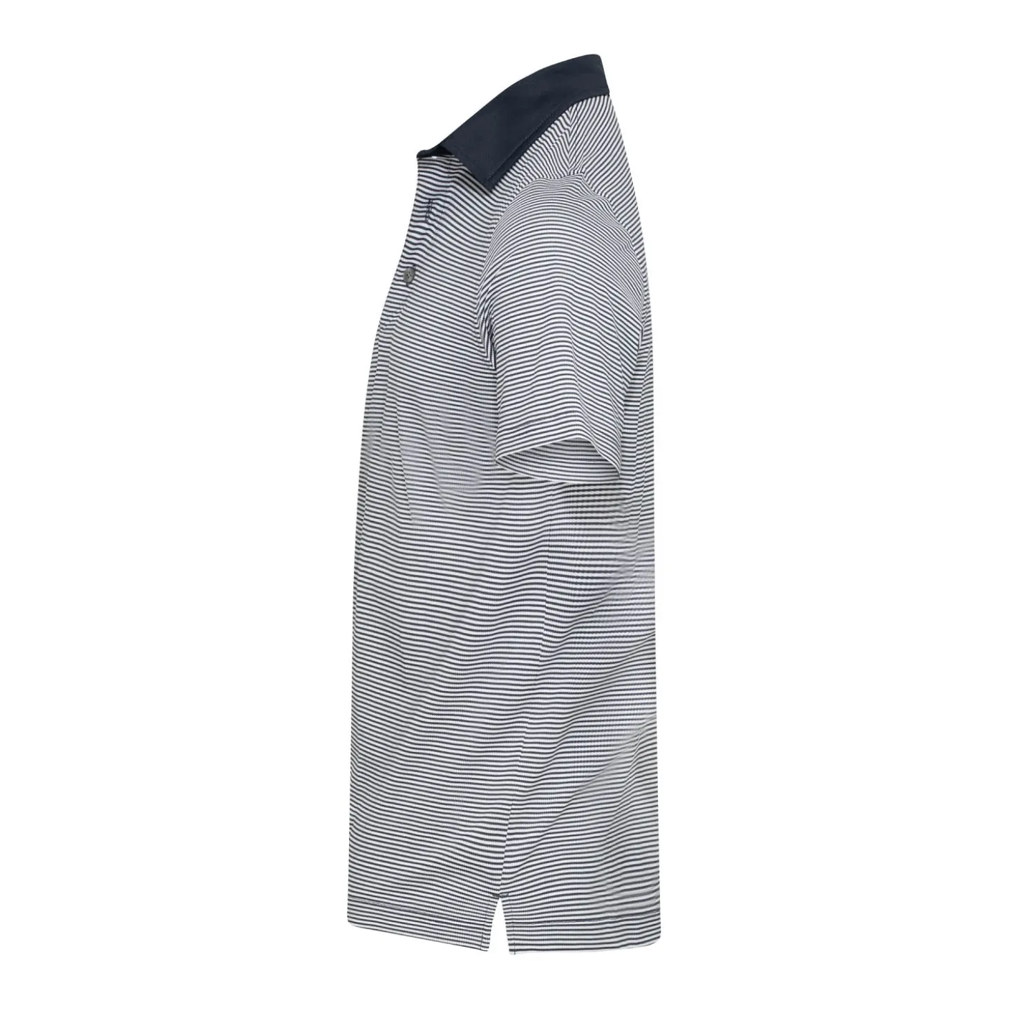 Virtue Polo Stripes Sininen