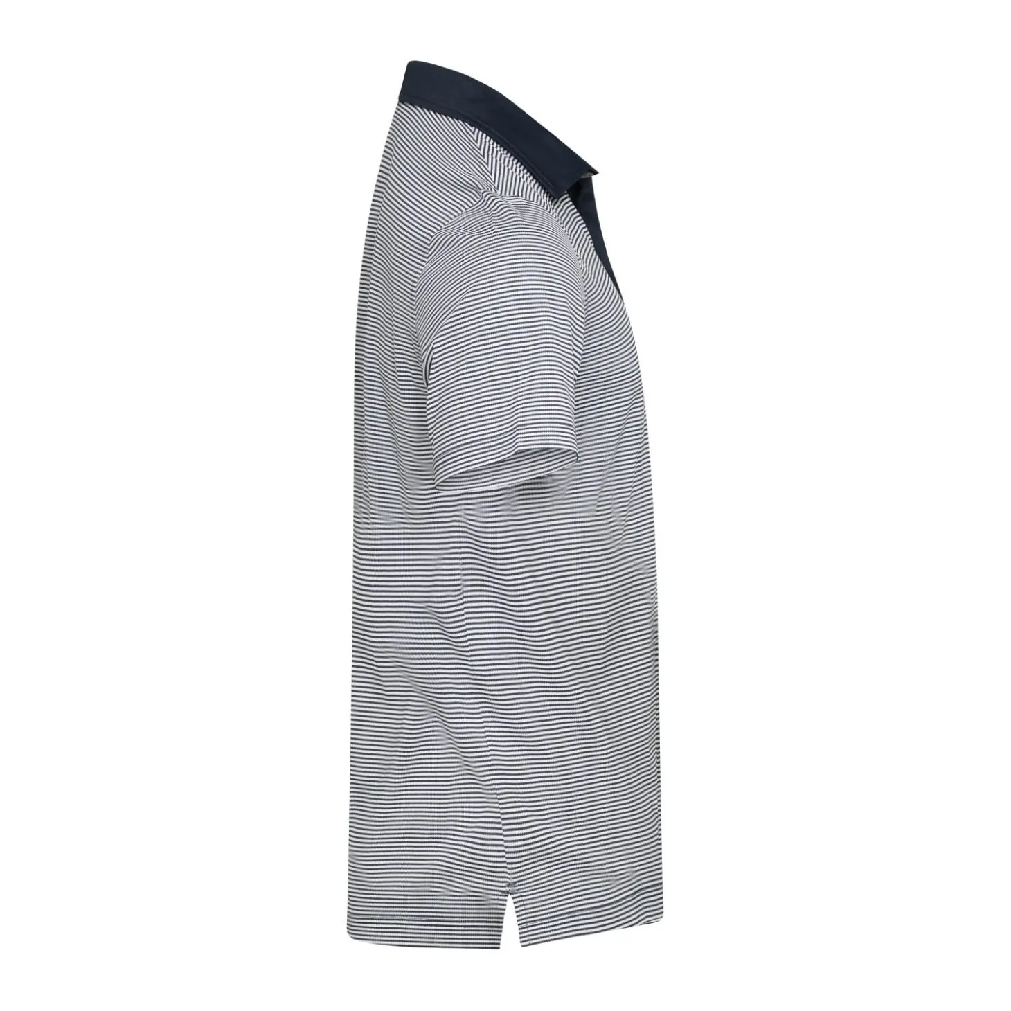 Virtue Polo Stripes Sininen